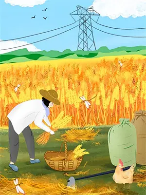 神秘总裁的心尖宠苏心棠