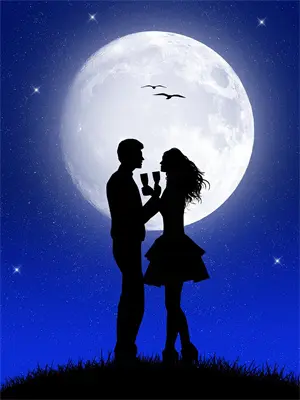 你在外面有个家，这个陆太太我让给她了