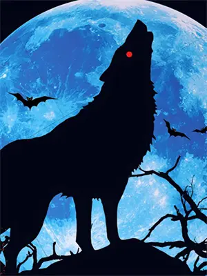 抬头看到的光影